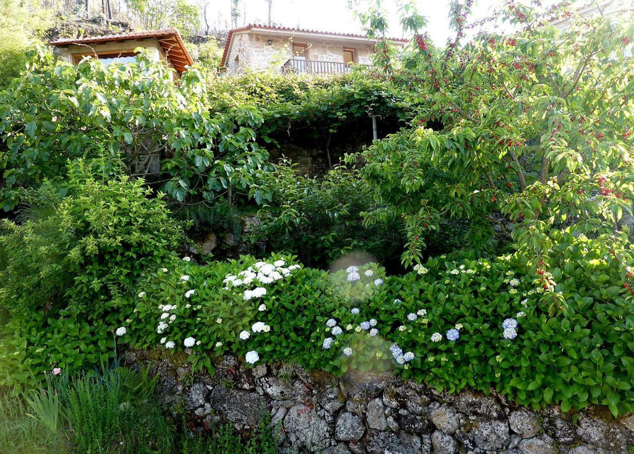 Casa Da Eira Velha * Vale de Cambra